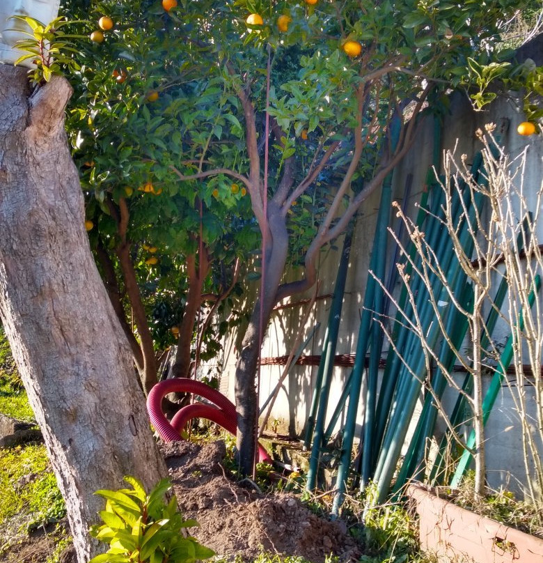 Parco Degli Agrumi-Cannero Riviera必去景点