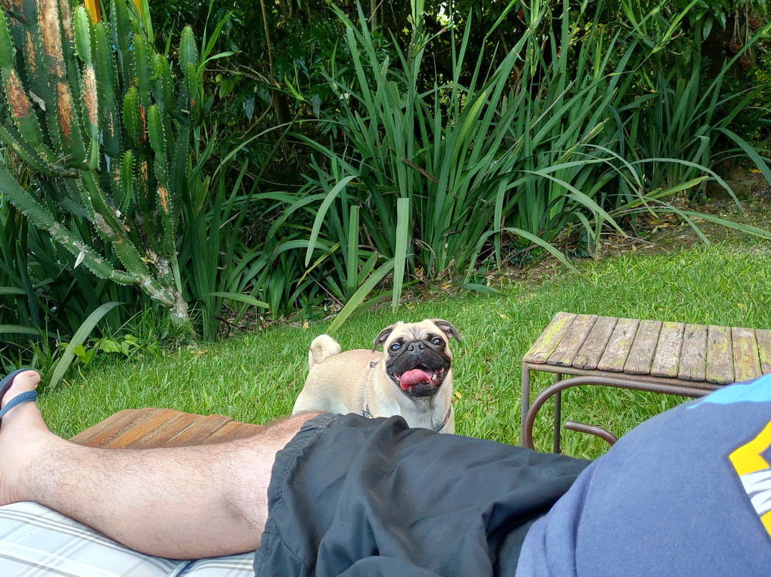 Pousada Encanto da Bocaina主图