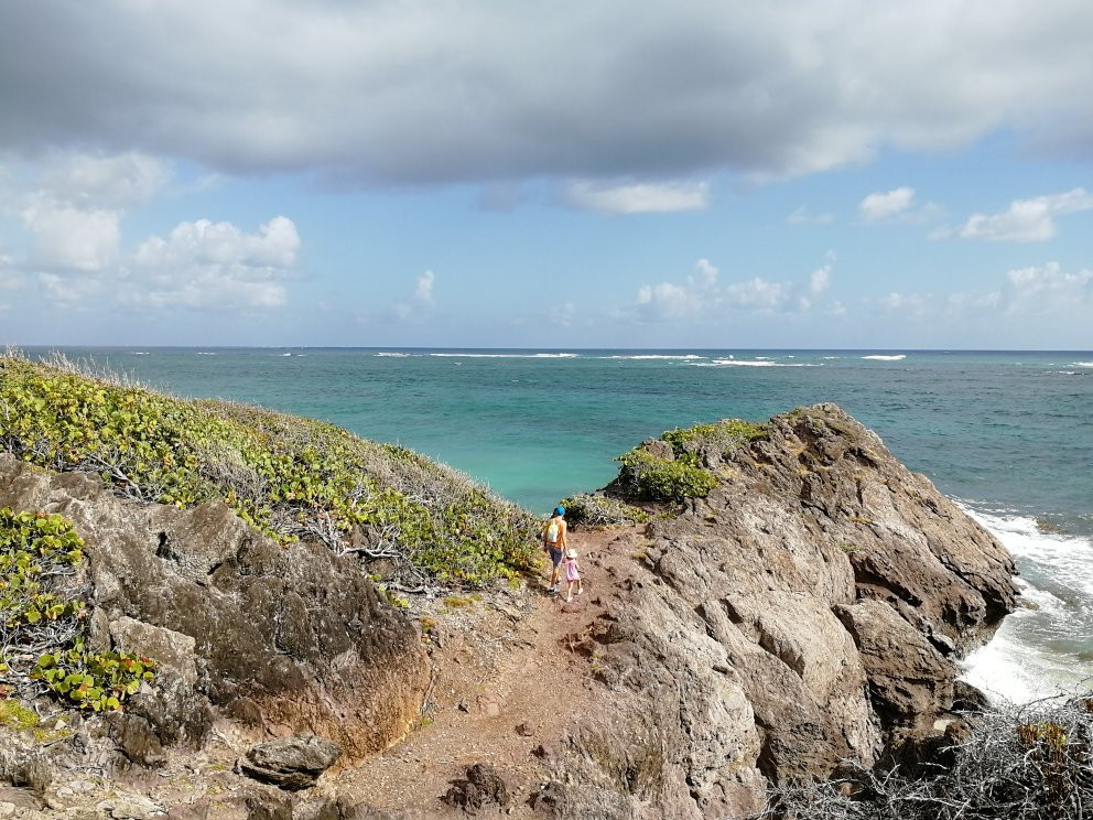 Cap Macre-Le Marin必去景点