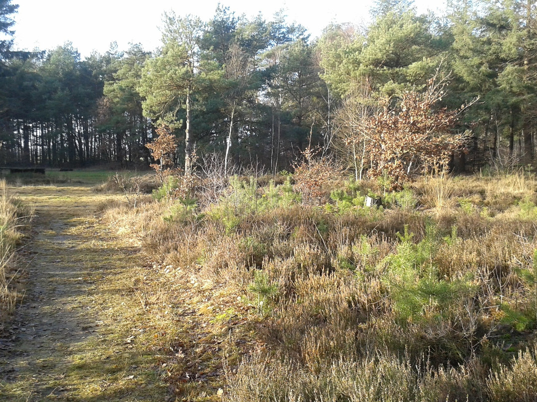 Steingarten Lamstedt-Lamstedt必去景点