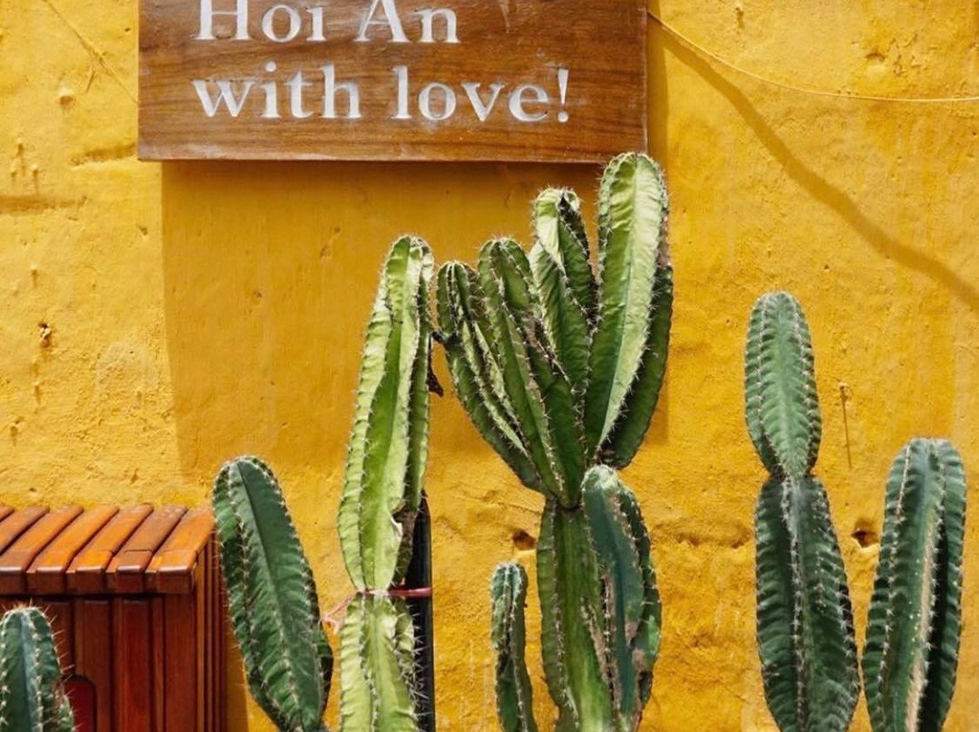 Sunday in Hoi An-会安必去景点