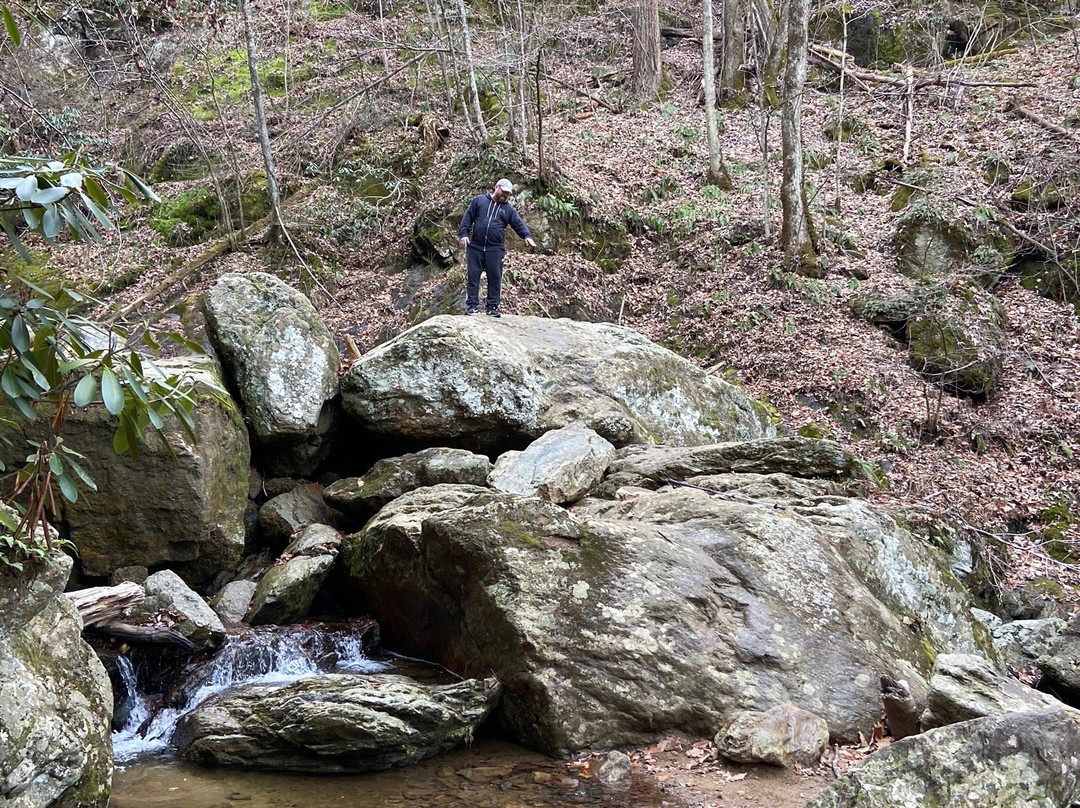 Stiles Falls-Shawsville必去景点
