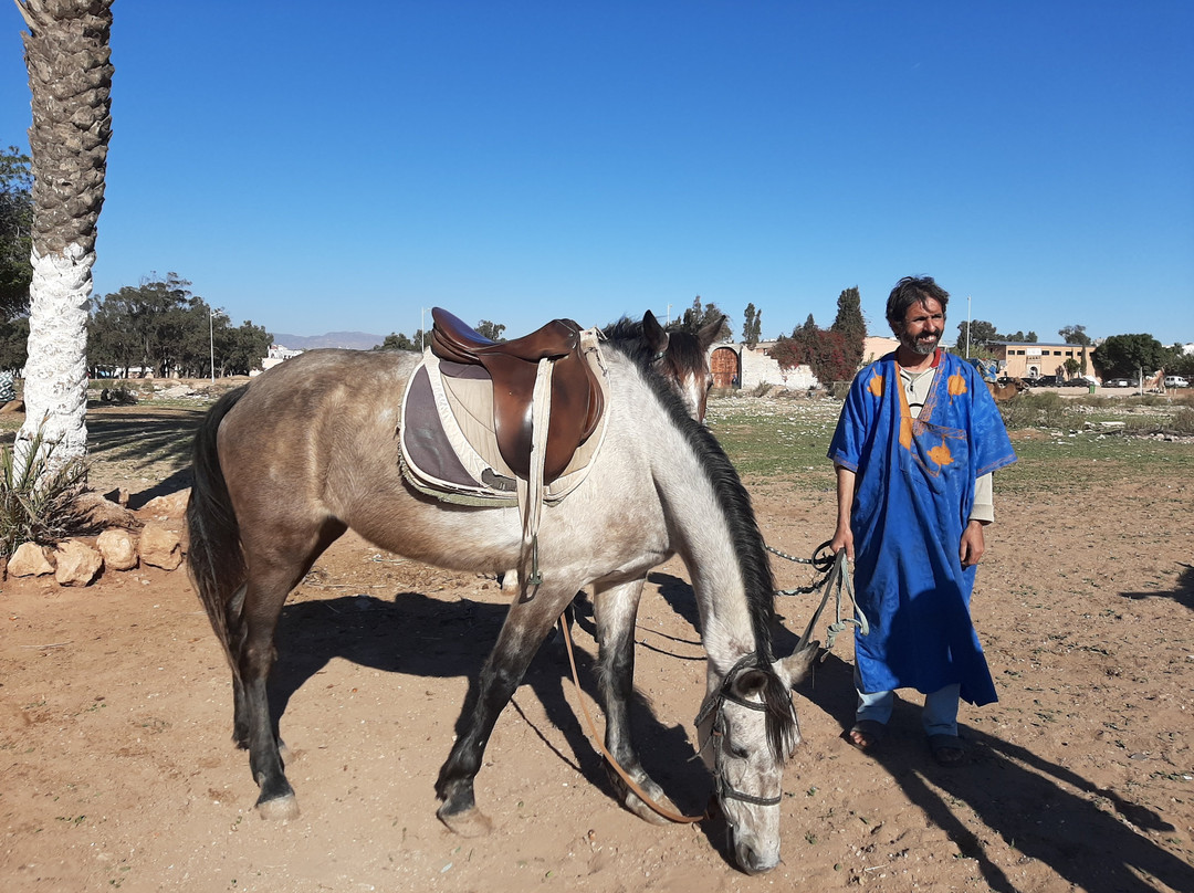 Anna & Layla Travel-阿加迪尔必去景点