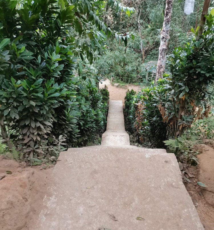 Khadimnagar National Park-锡尔赫特必去景点