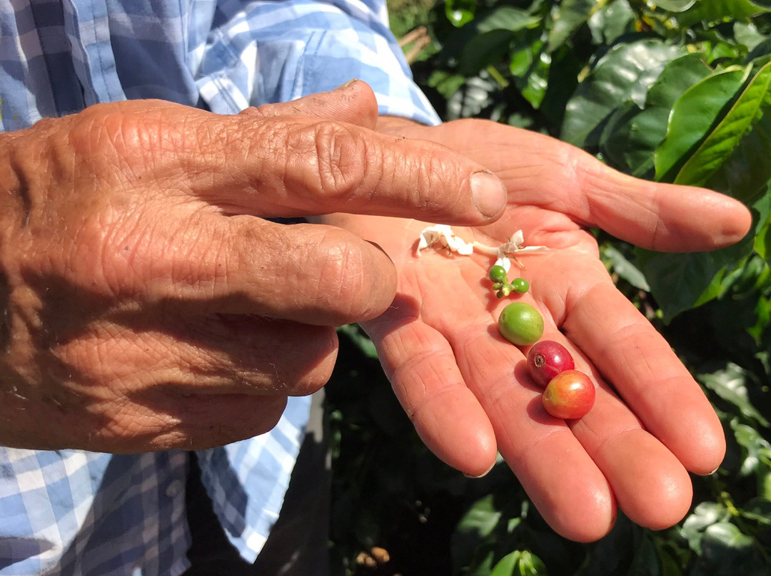 Jardin餐馆和美食-Finca Los Angeles