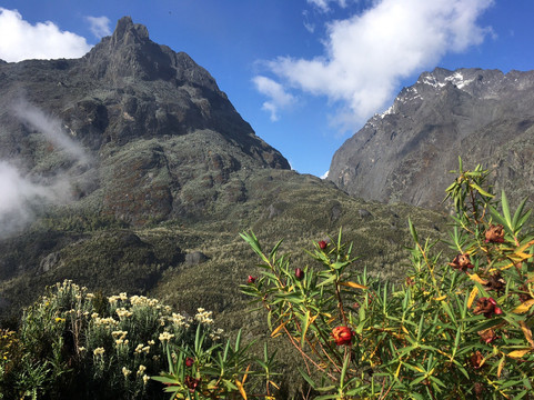 Mount Stanley-温佐里山国家公园必去景点