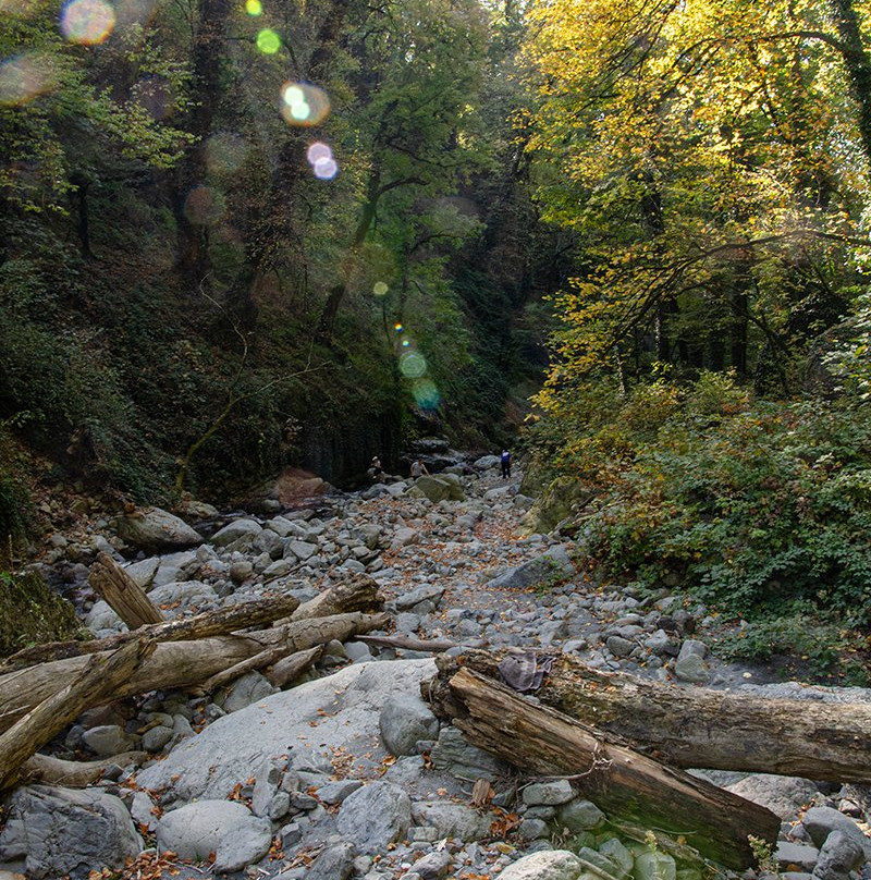 Lagodekhi National Reserve-Lagodekhi必去景点