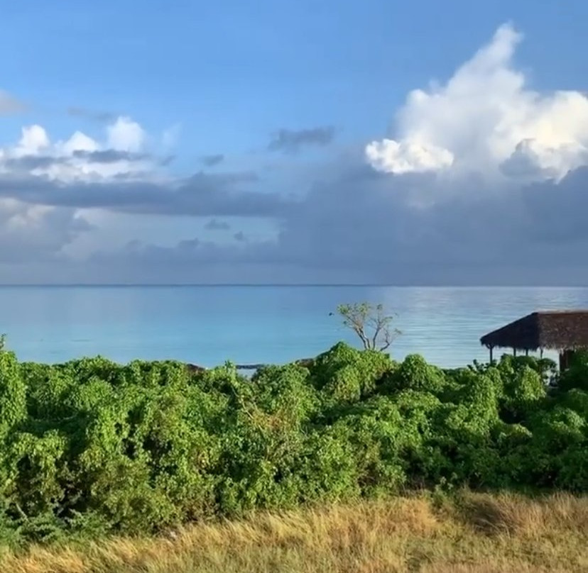 Hotel Playa Coco主图