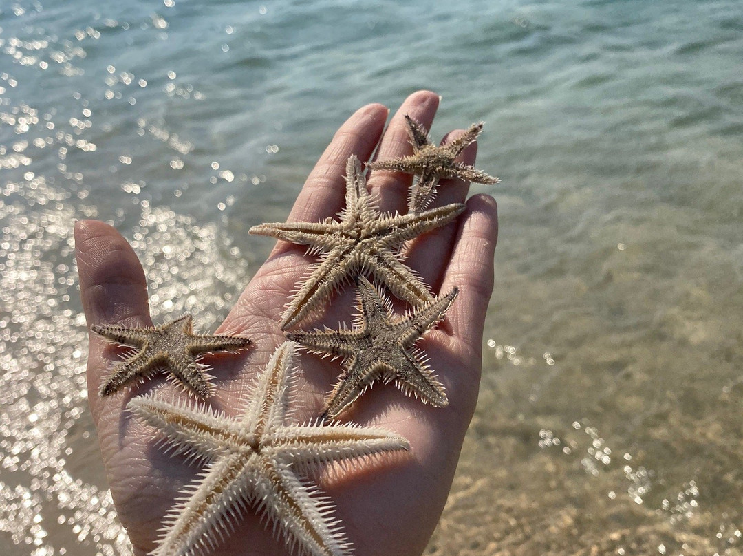 Gulf Adventures-多哈必去景点