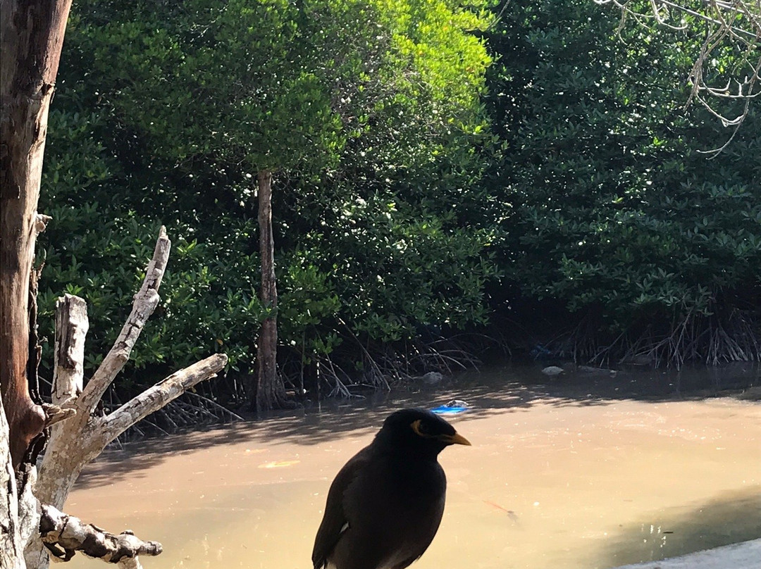 红图娜酒店主图