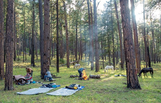 WolfHorse Outfitters Day Tours-Silver City必去景点