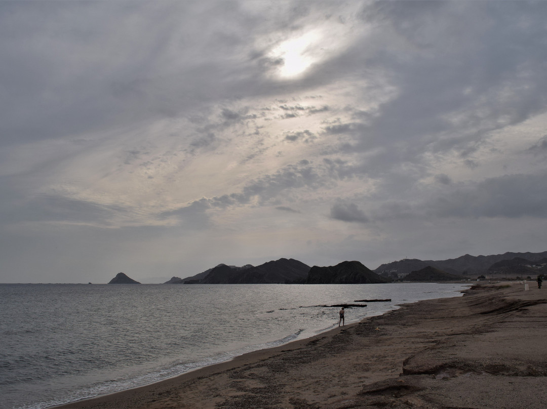 Playa de la Cola