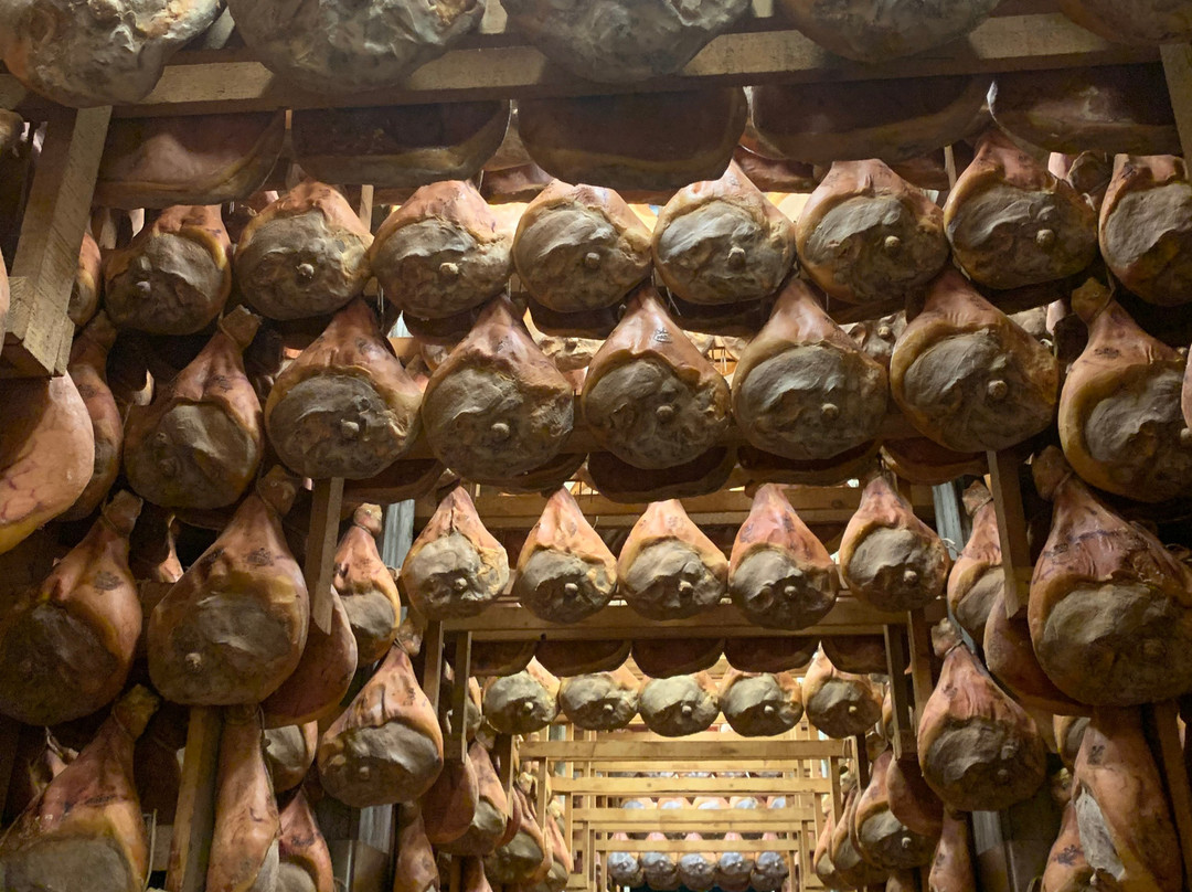 Salumificio Conti景点图片