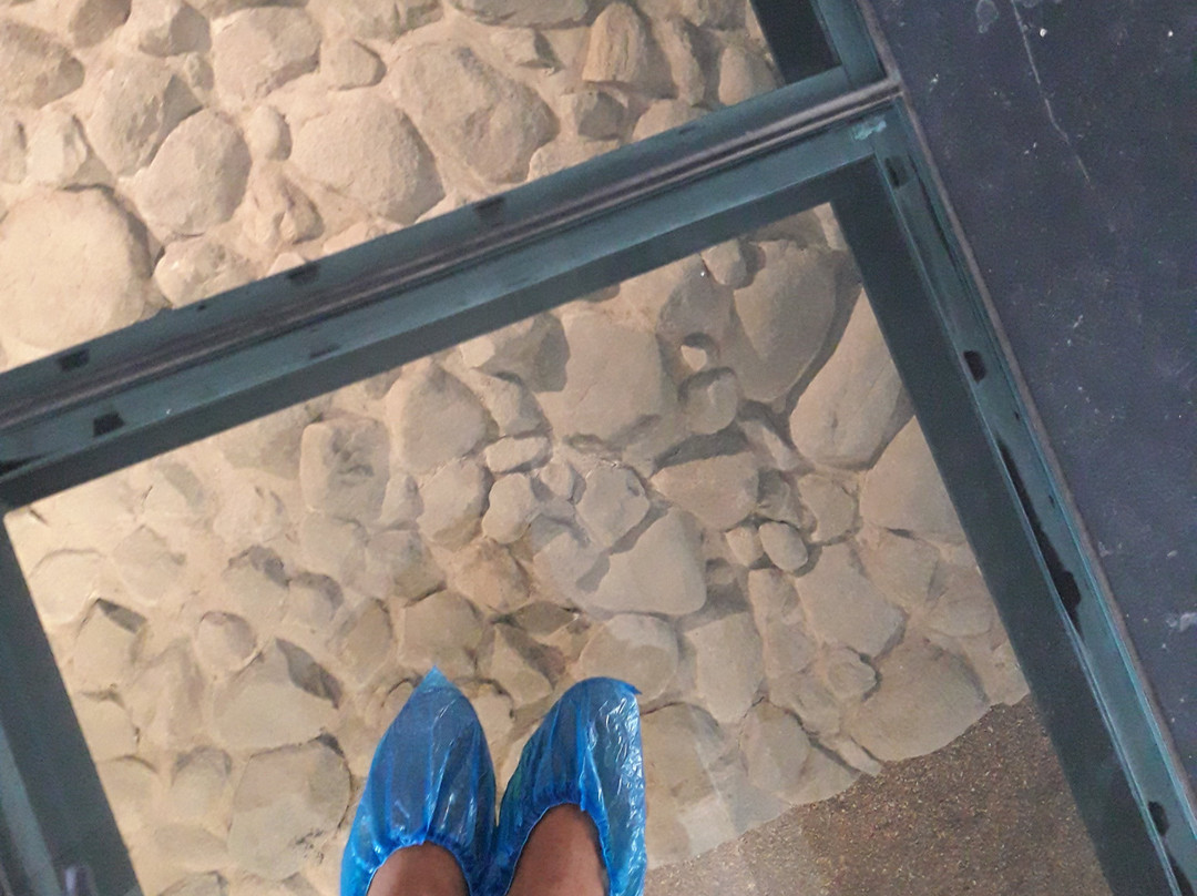 Nucleo Museologico景点图片