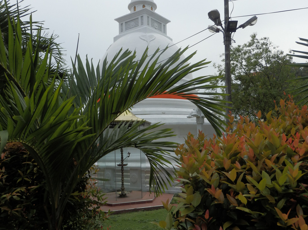 Asokaramaya Buddhist Temple-科伦坡必去景点
