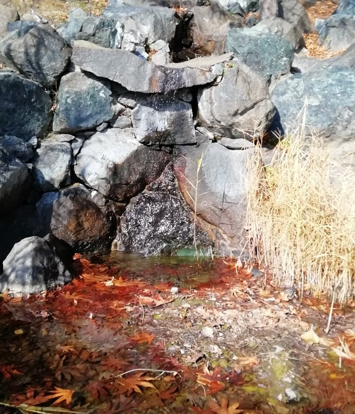 Troodos Botanical Garden-特罗多斯必去景点