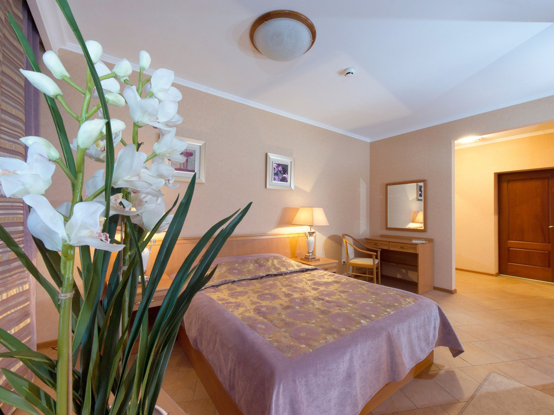 Novy Hotel主图