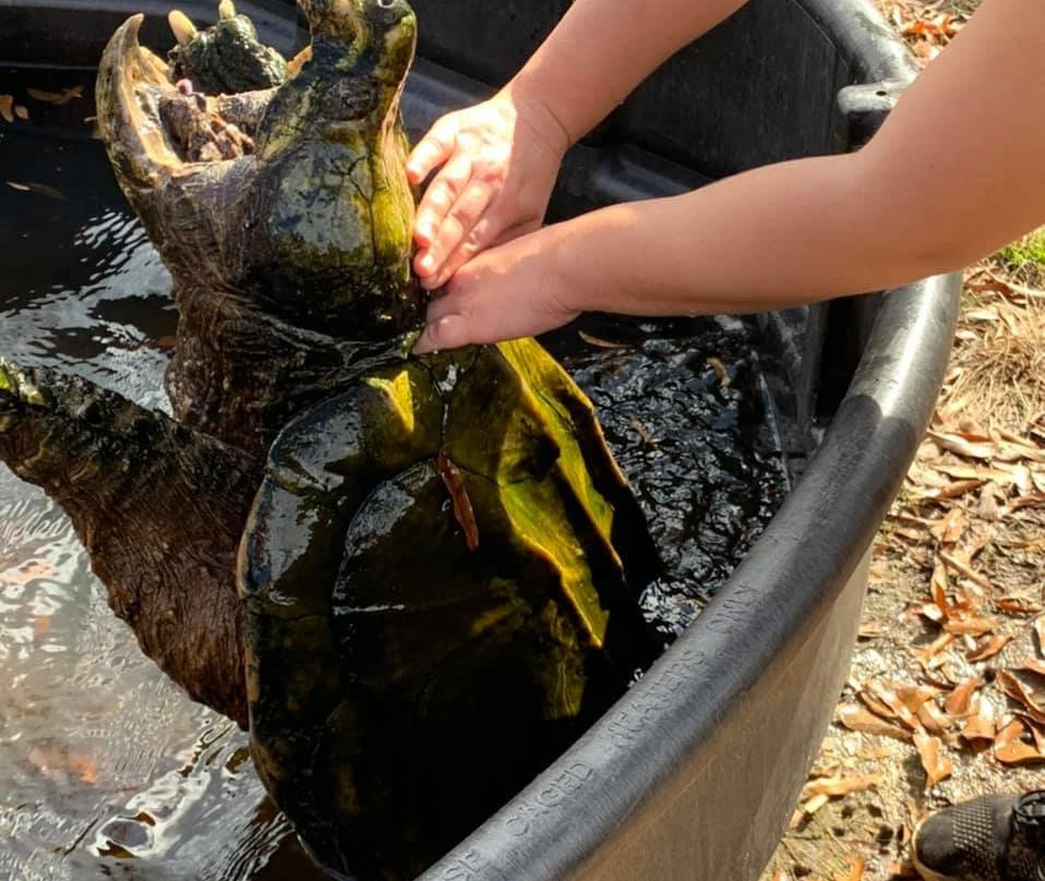 Kliebert & Sons Gator Tours-Ponchatoula必去景点