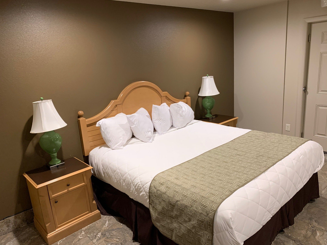 The Gator Den Motel主图