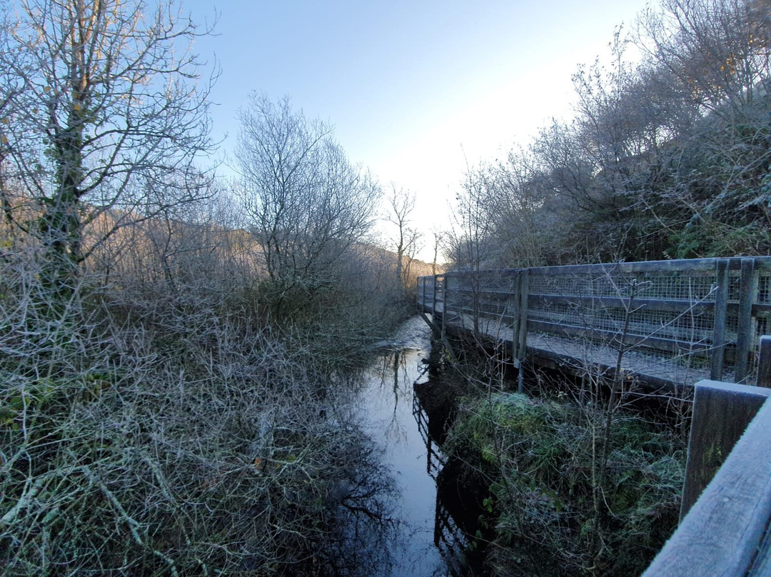 The Dingle (Nant y Pandy) Nature Reserve景点图片