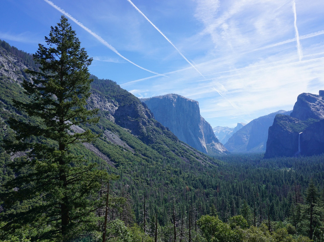 Upper Pines Campground主图