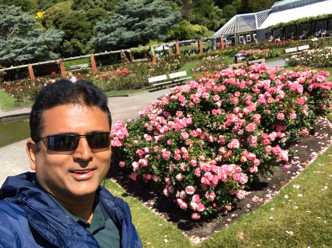 Hammonds Wellington Tours-惠灵顿必去景点