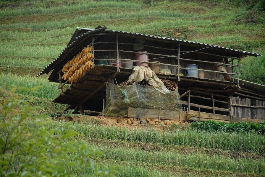 Khau Pha Pass-Mu Cang Chai必去景点