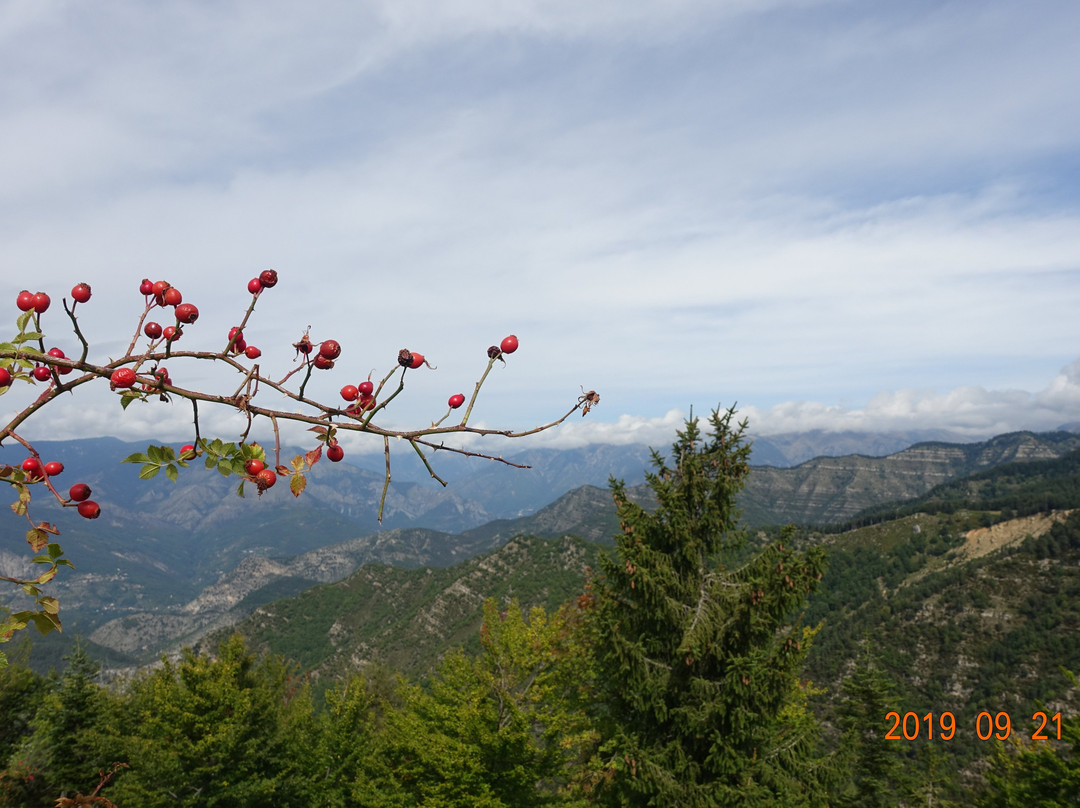 Col de Turini景点图片