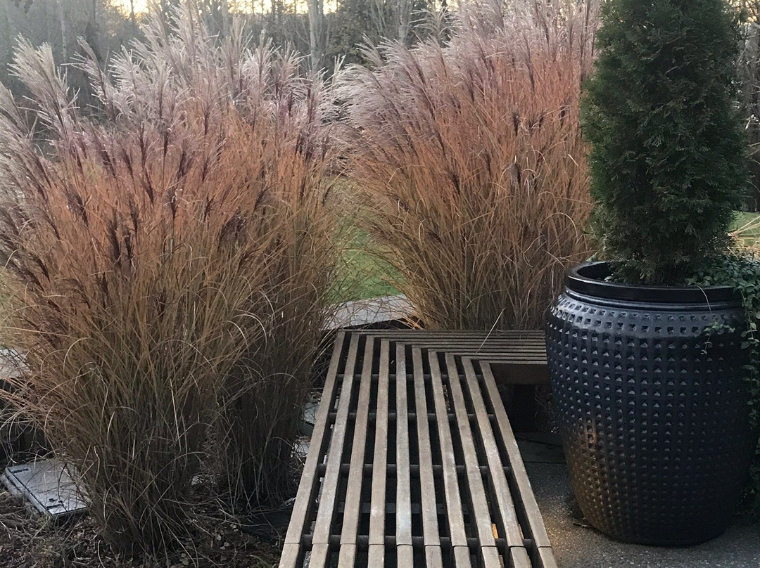 The Spa at Cedarbrook-西塔科必去景点