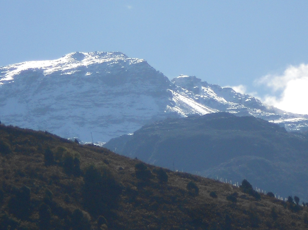 OYO 60097 Hill Hotel Lachung主图