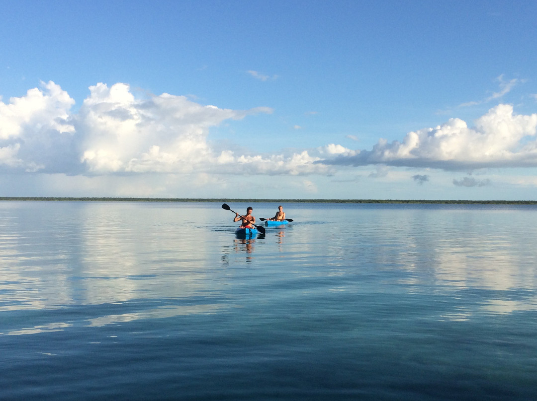 Agave Blue Bacalar主图