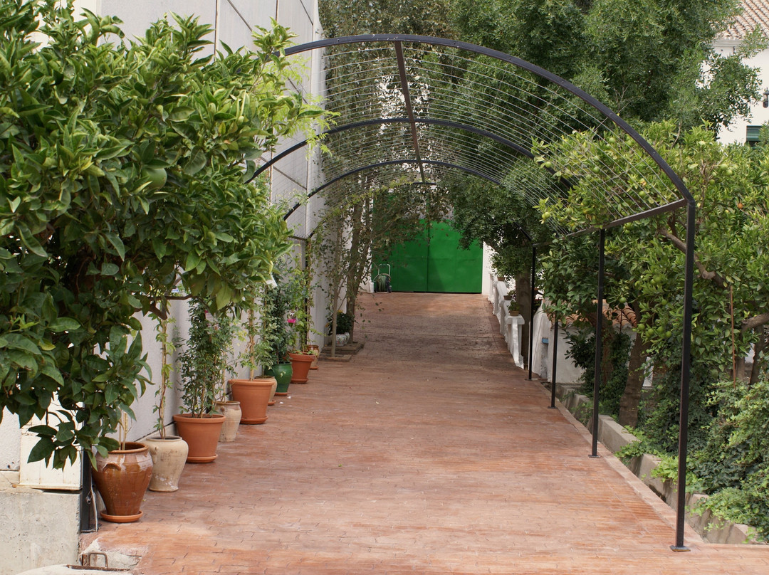 Finca La Cañota主图