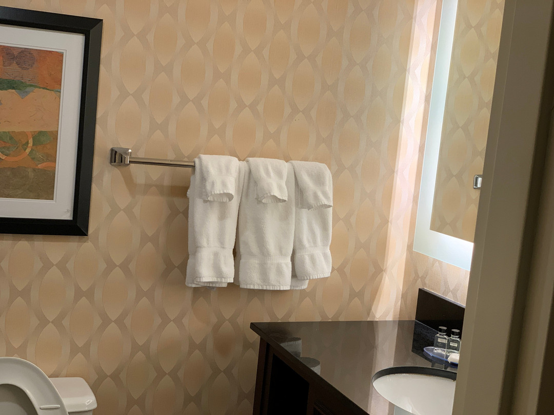 圣路易斯机场皇冠假日酒店主图