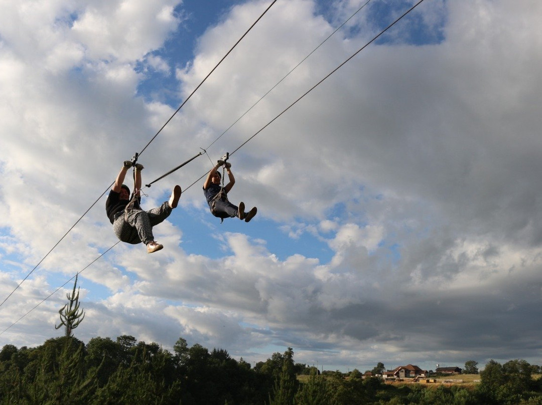 Canopy Lautaro-特木科必去景点
