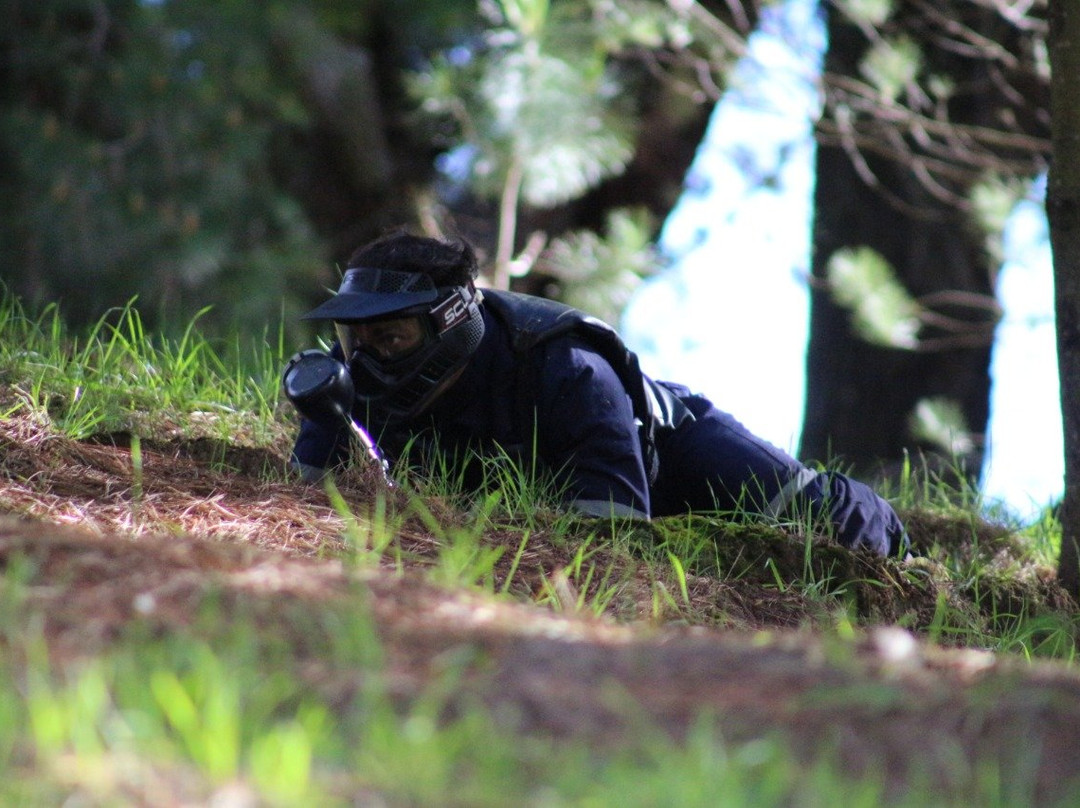 Canopy Lautaro-特木科必去景点