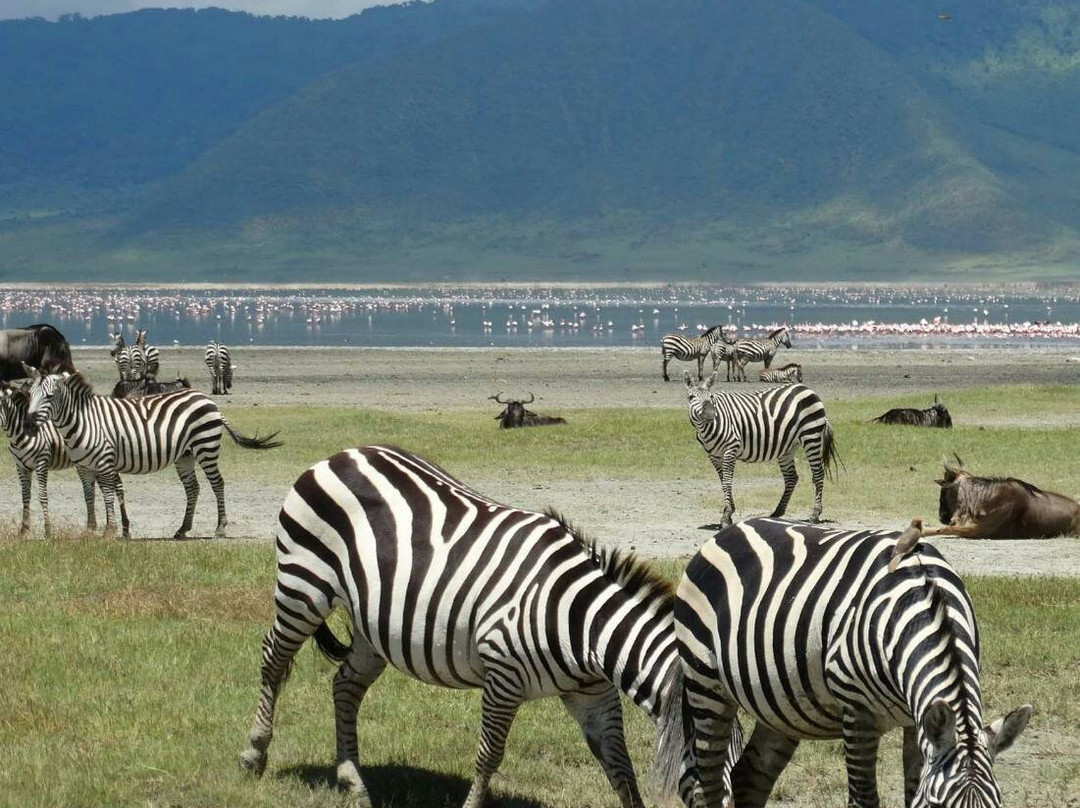 Mangokili Adventures-阿鲁沙必去景点