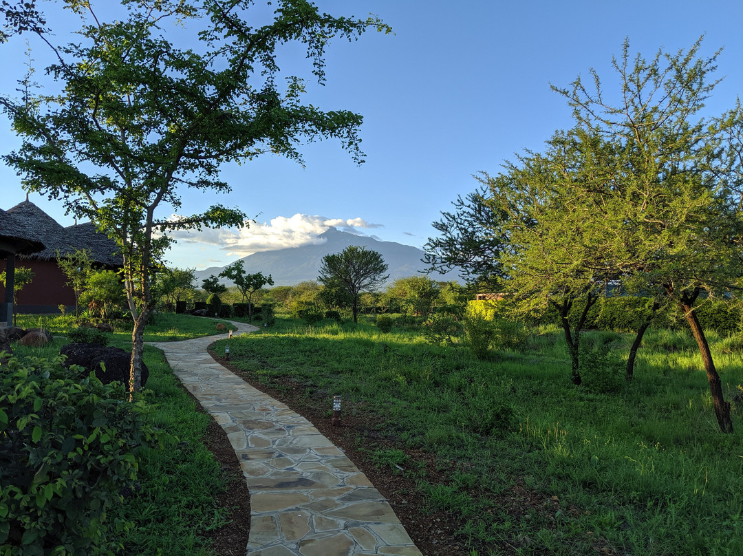 Dashir Lodge & Safaris主图