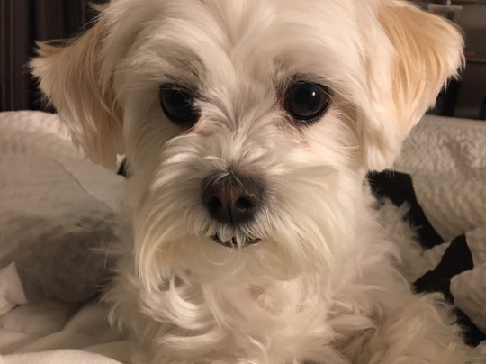 La Quinta Inn & Suites by Wyndham Oklahoma City - NW Expwy主图