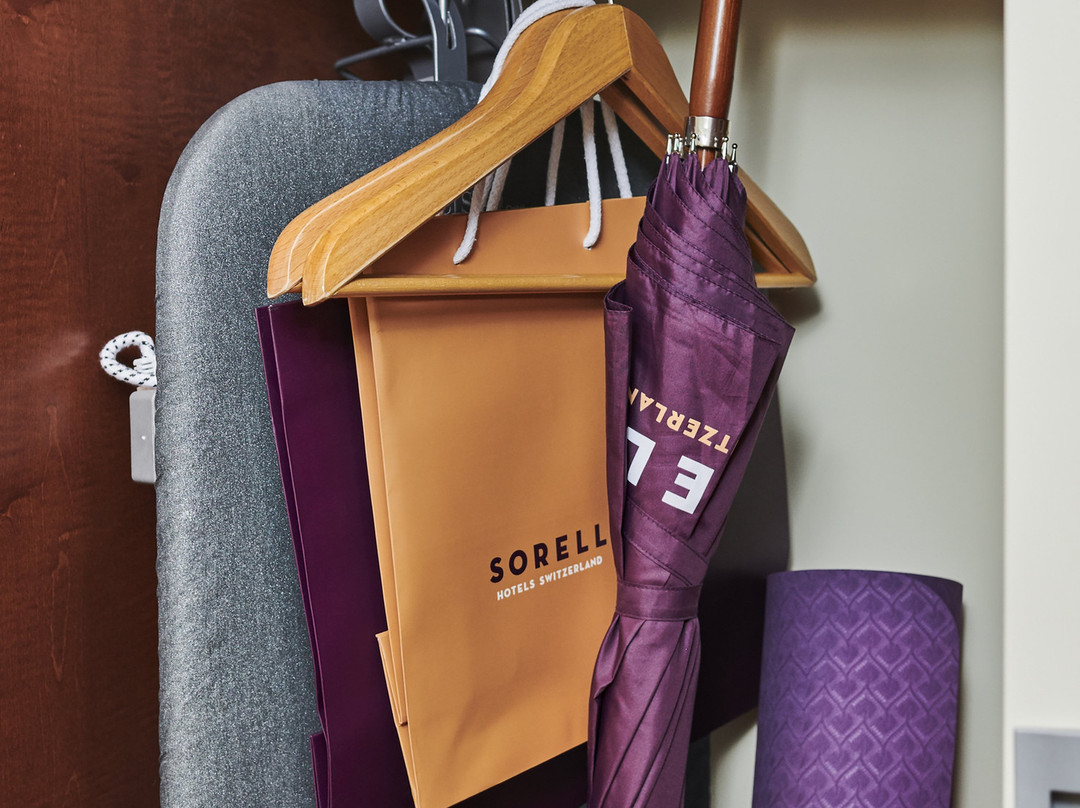 Sorell Hotel Speer主图