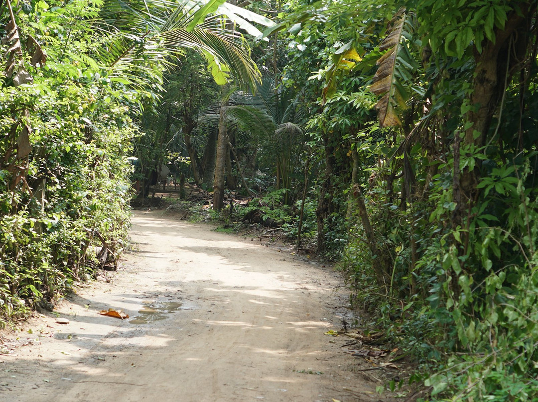 Midigama Holiday Inn主图