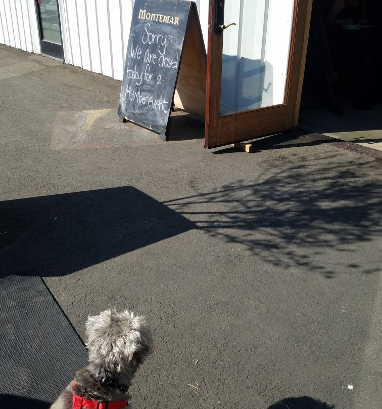 Montemar Wines-隆波克必去景点