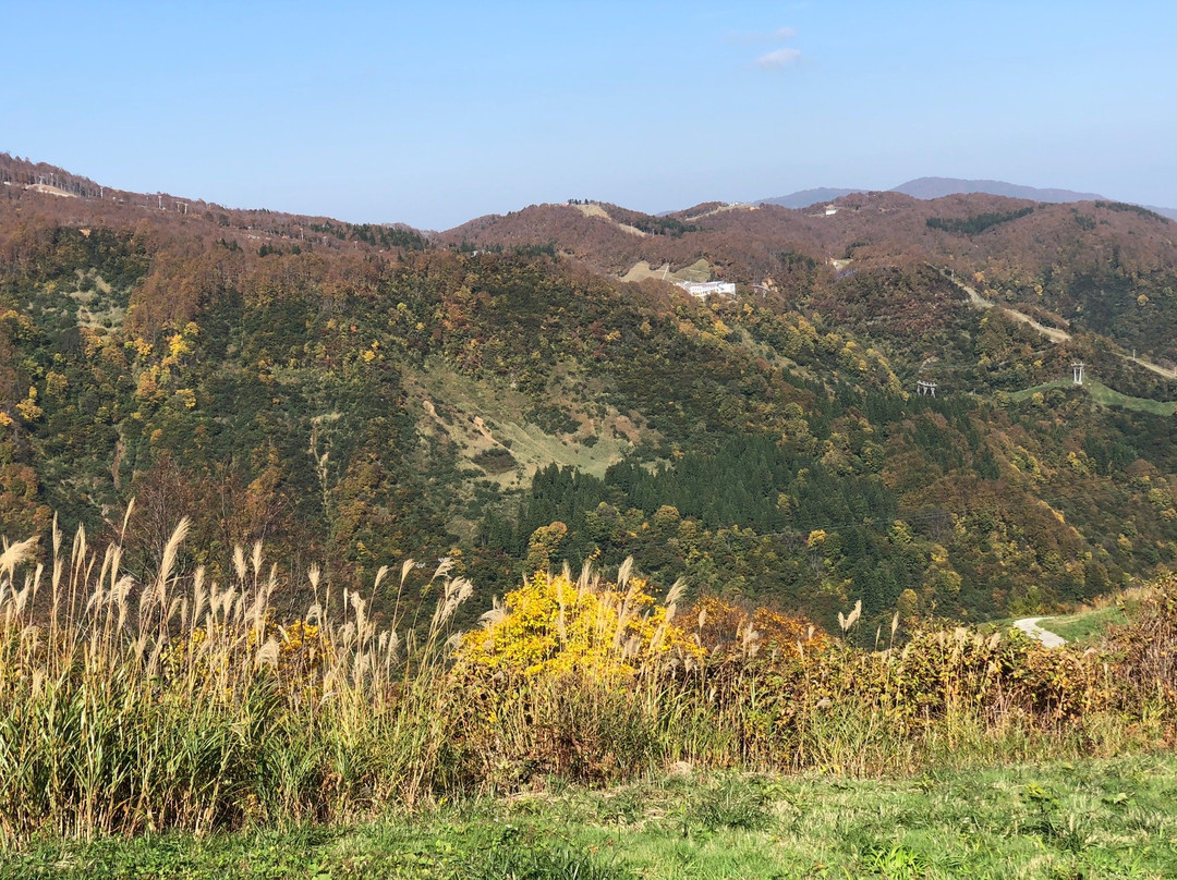 Yuzawa Highland Ski Resort-汤泽町必去景点