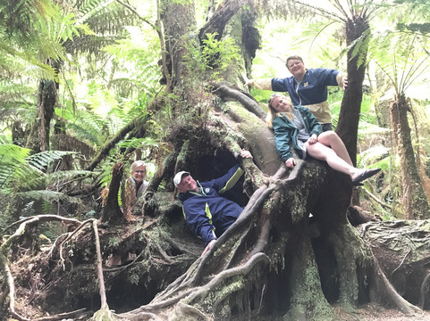 Australian Private Tours-墨尔本必去景点