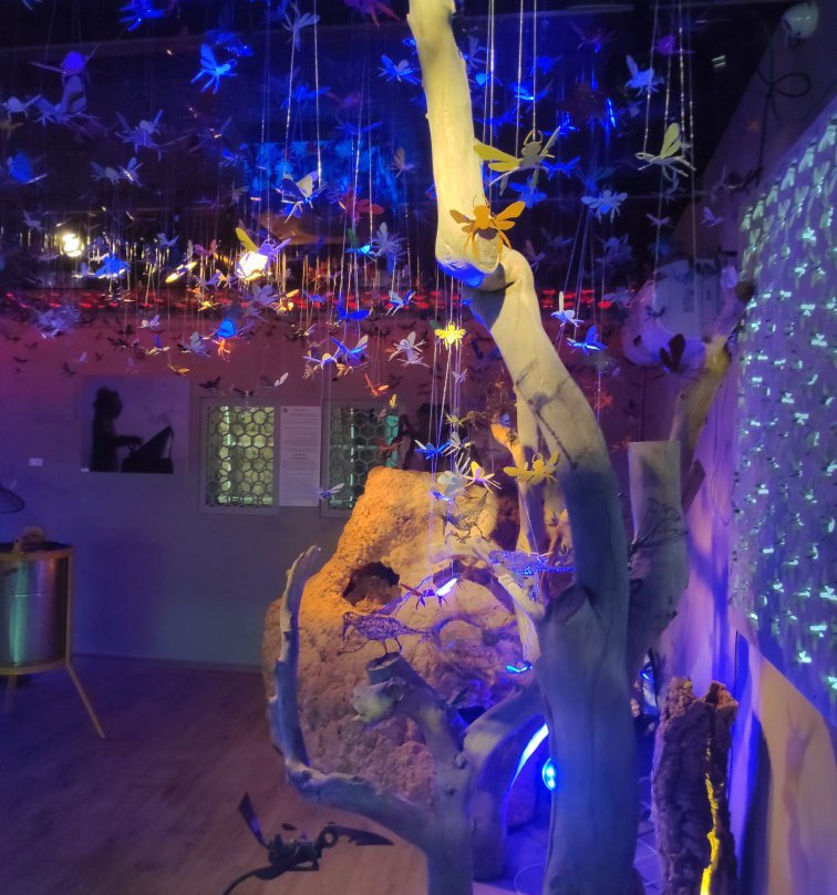 Porat Ein Yahav-Ein Yahav必去景点