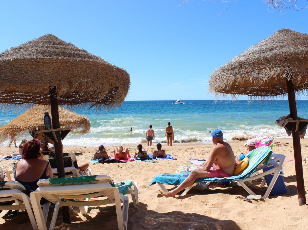 Praia da Coelha景点图片