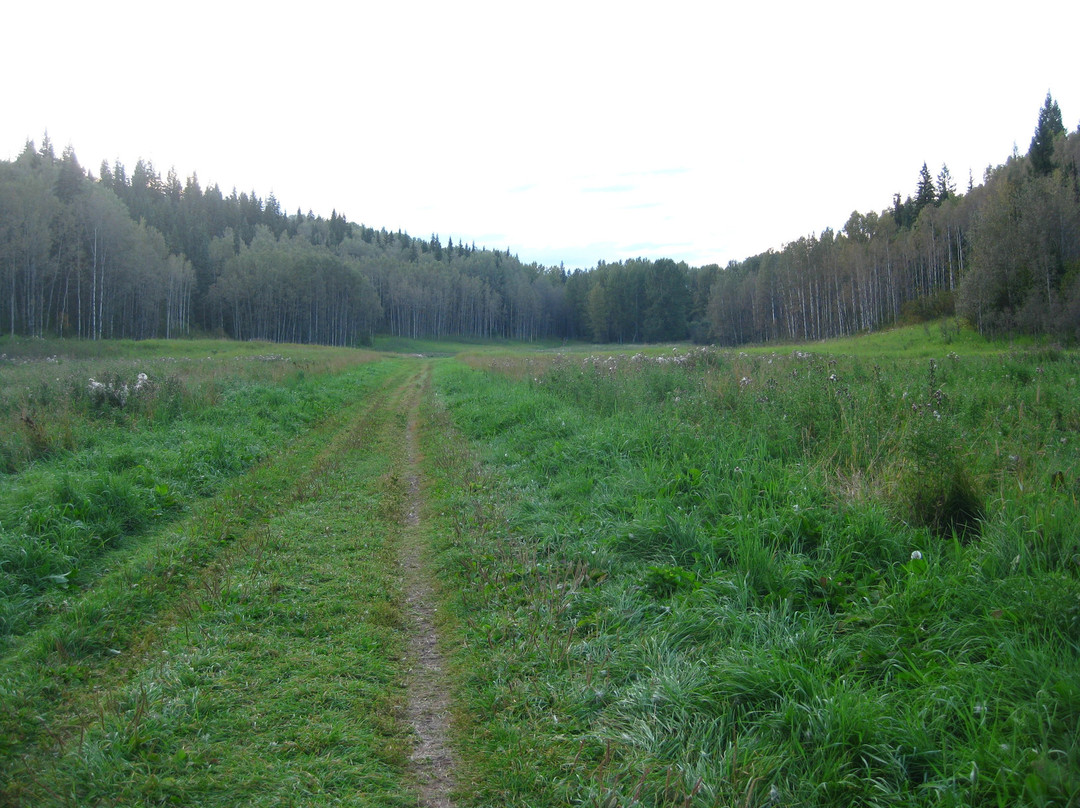 Moore's Meadow Park景点图片