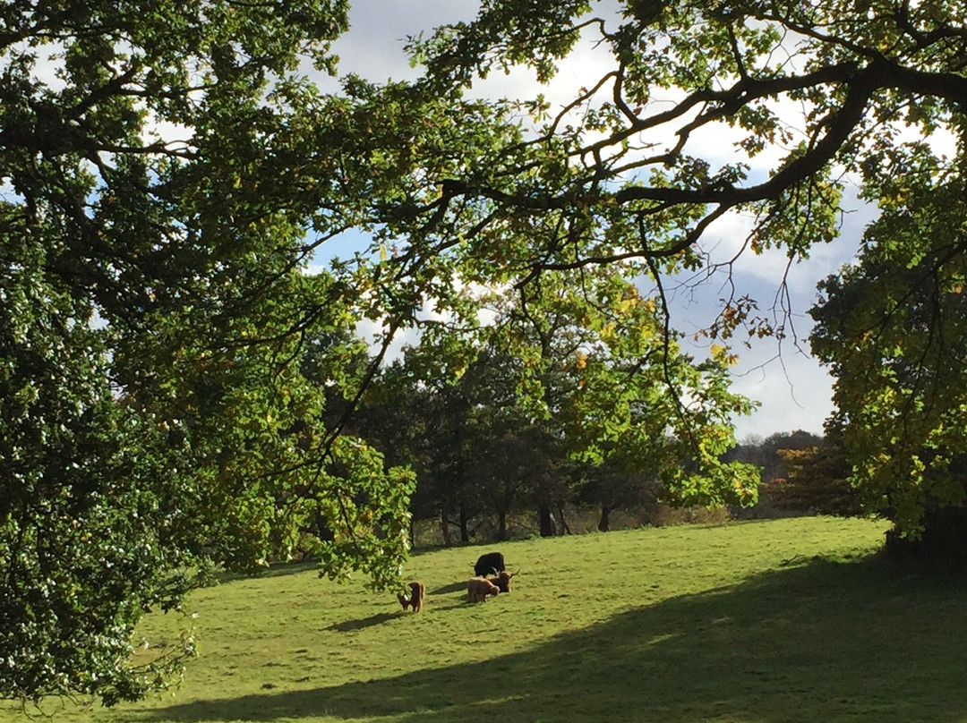 Pollok Estate and Country Park景点图片