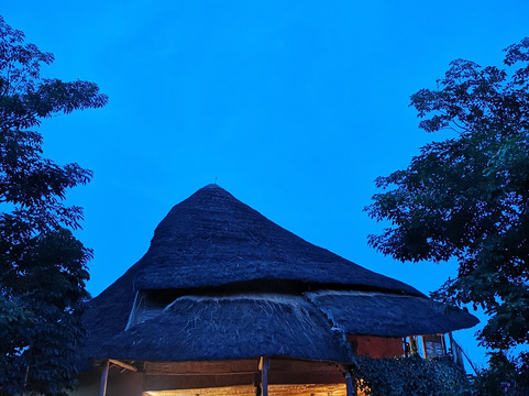 Parkview野生动物园旅馆主图