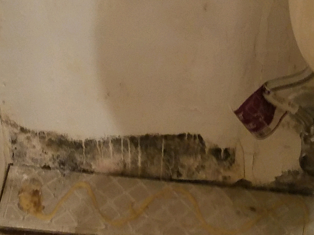 Econo Lodge Inn & Suites主图