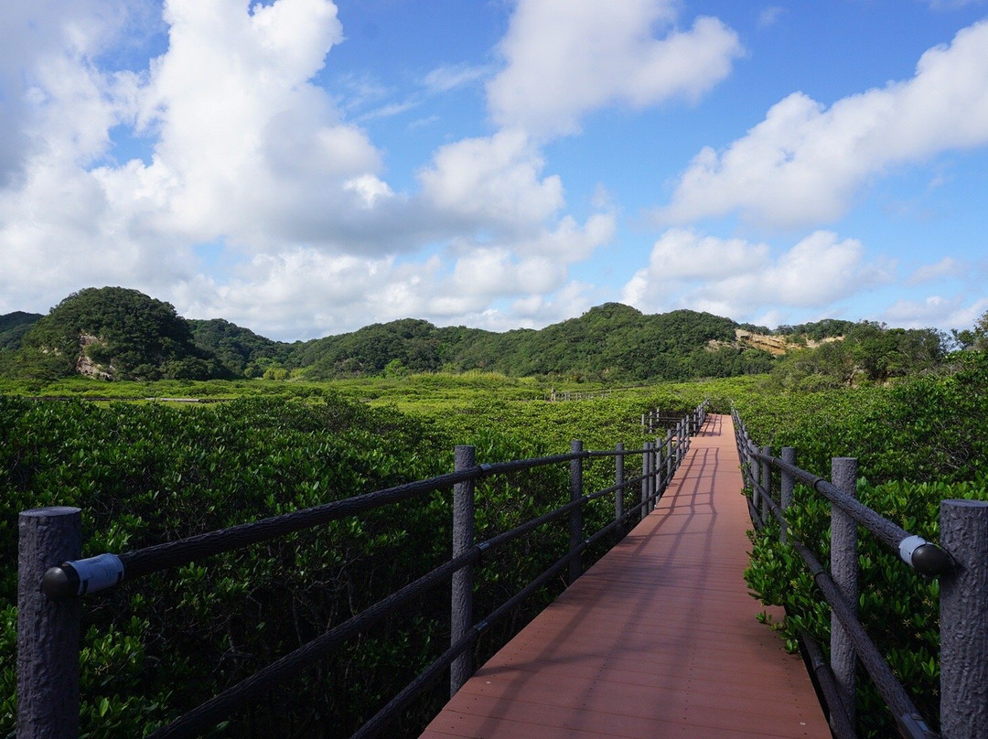 Tanegashima Mangrove Park景点图片